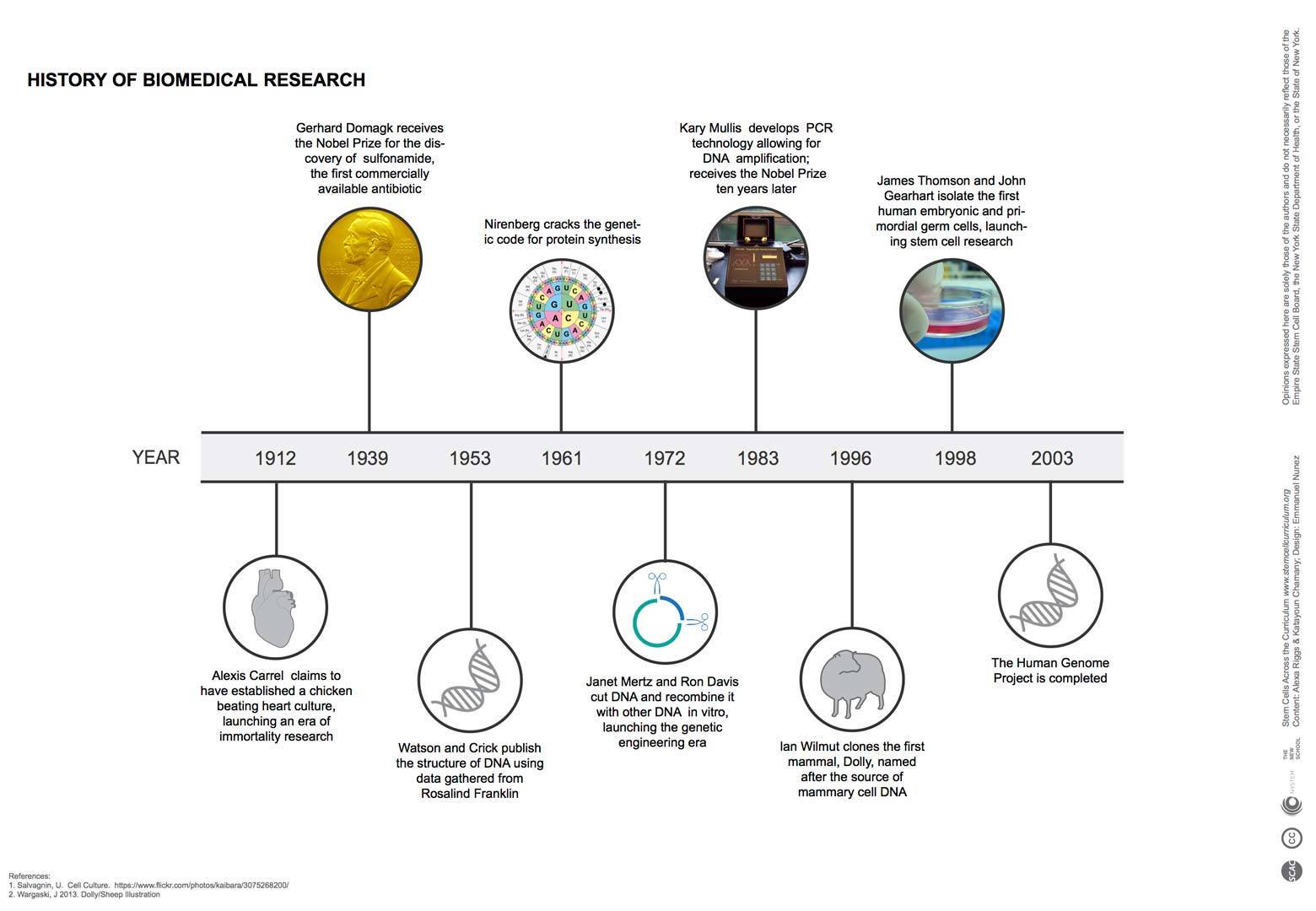 cell history timeline template