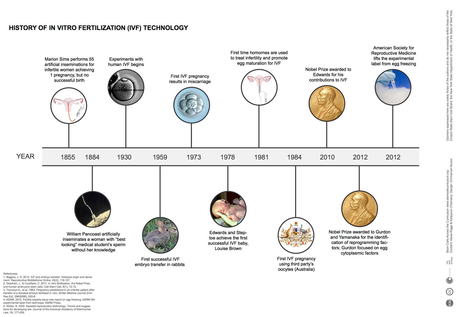 Timeline Of Stem Cell Research